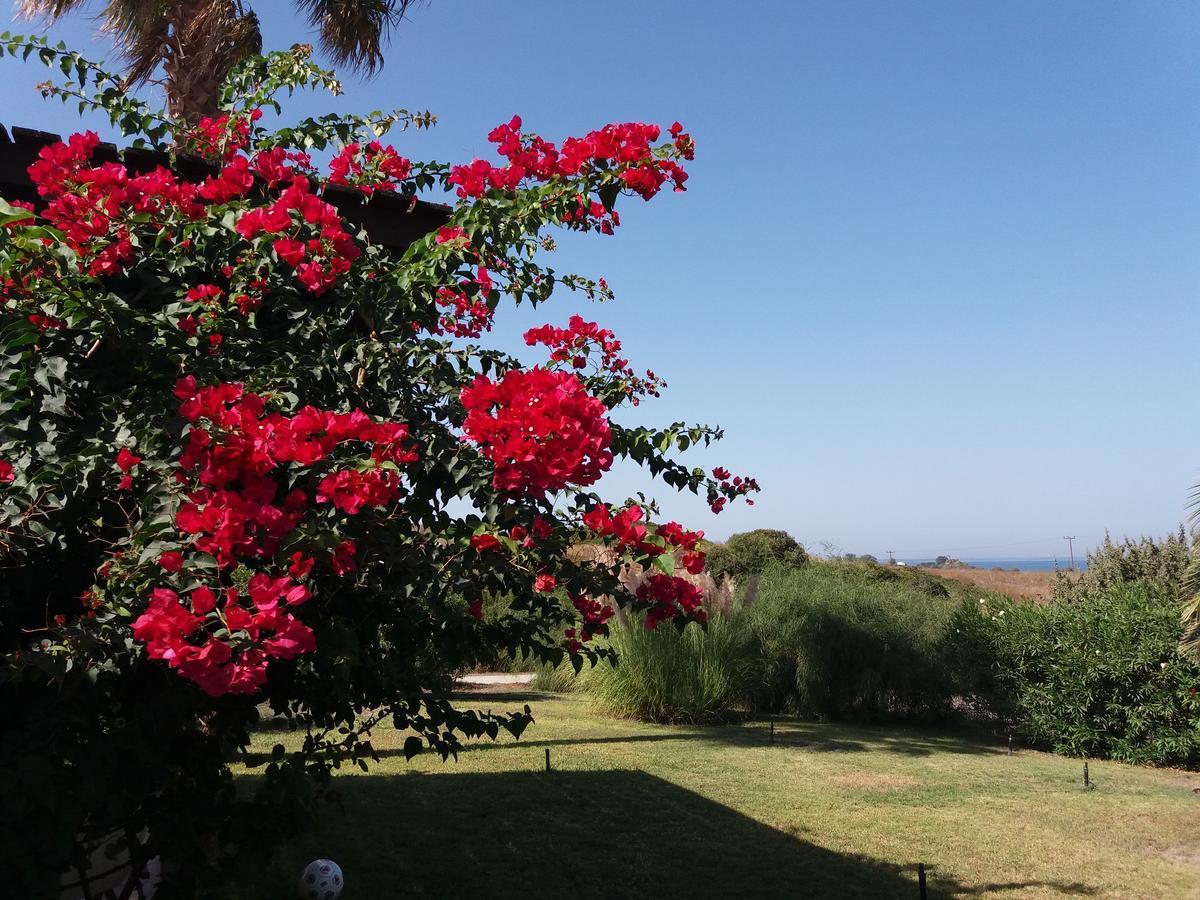 Villa Kos 마스티차리 외부 사진