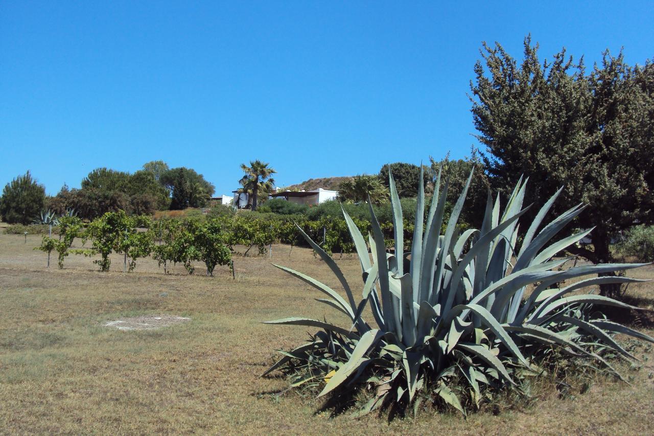 Villa Kos 마스티차리 외부 사진